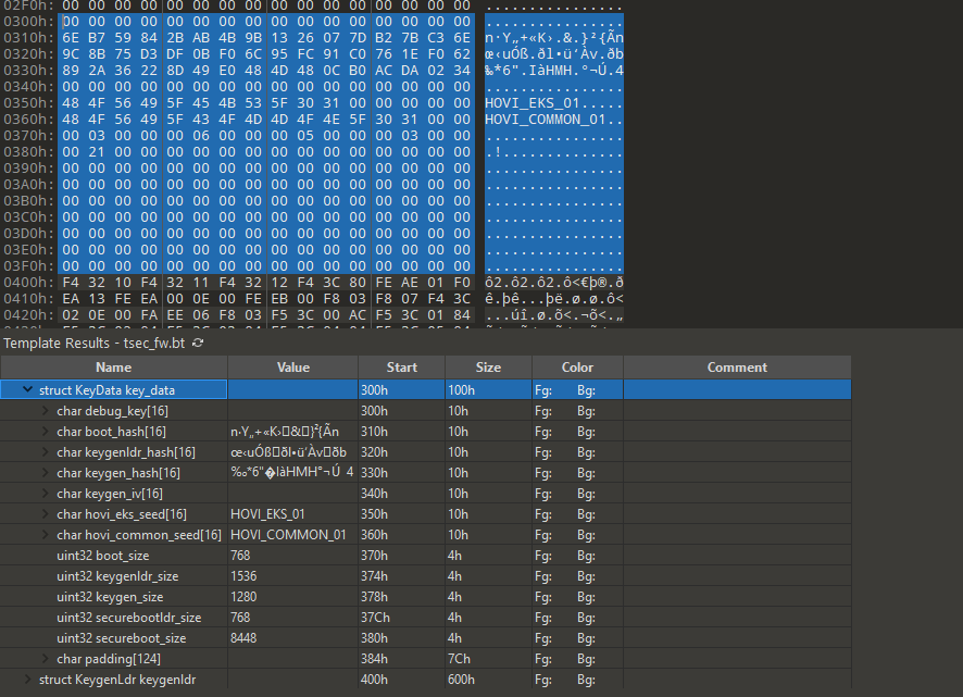 TSEC Firmware in 010 Editor